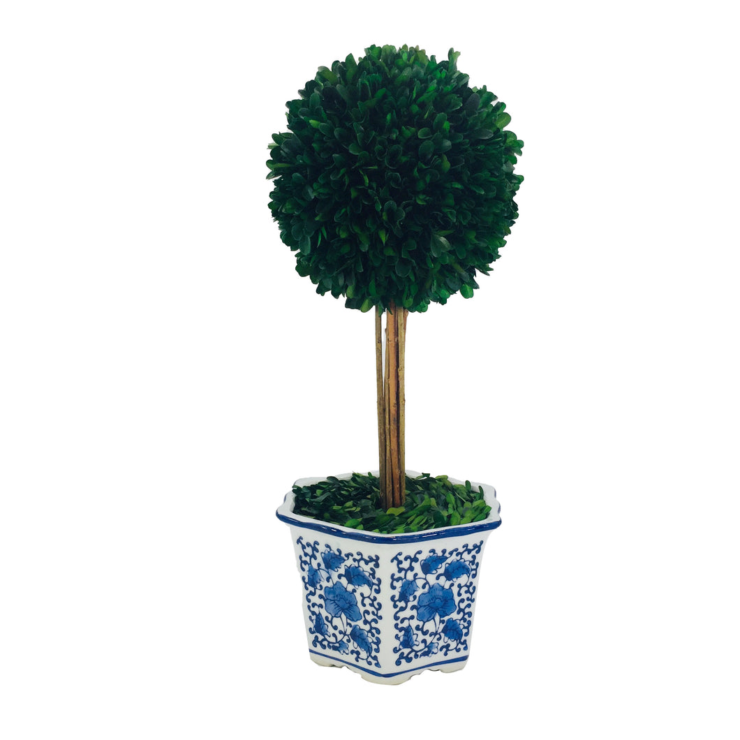 Preserved Boxwood Ball Topiary in Blue & White Planter, Large