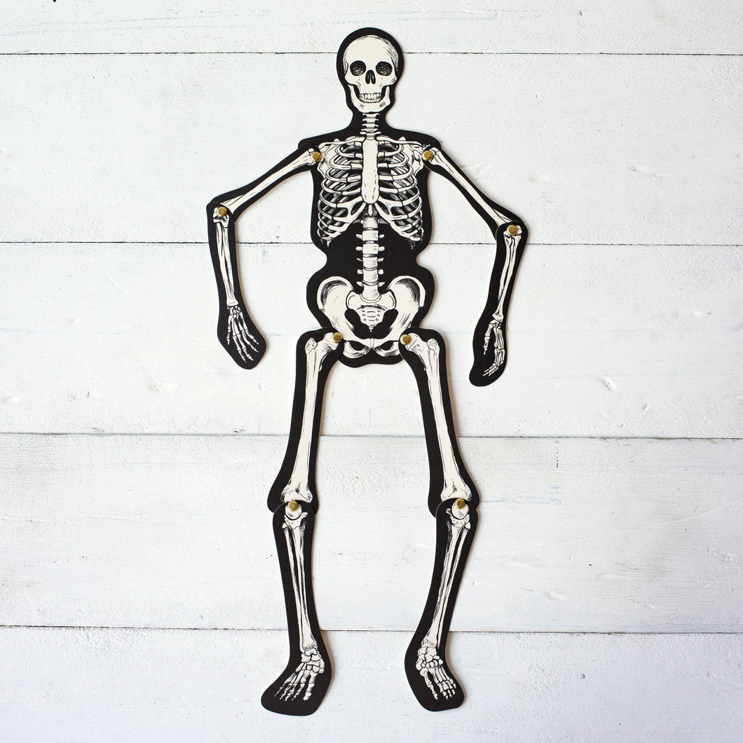 Articulated Skeleton Table Accent, 12 ct