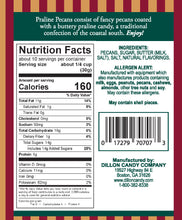 Load image into Gallery viewer, Dillon&#39;s Gourmet Candies, Praline Pecans | 10.25oz
