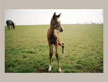 Load image into Gallery viewer, Horse Racing: Photography By Arthur Frank
