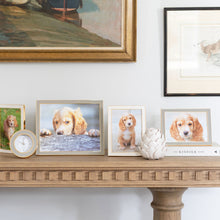 Load image into Gallery viewer, White Enamel &amp; Gold Picture Frame 5x7
