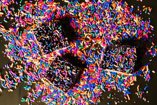 Load image into Gallery viewer, Surprise Party! Chocolate Covered Cookie
