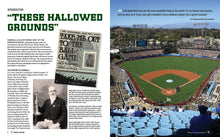 Load image into Gallery viewer, America's Ballparks
