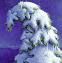 Load image into Gallery viewer, A Wish to be a Christmas Tree by Colleen Monroe
