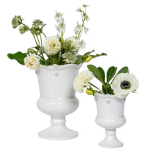 Load image into Gallery viewer, Berry &amp; Thread Petite Parterre Garden 8" Vase, Whitewash
