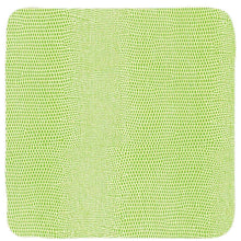 Load image into Gallery viewer, Square Lizard Coasters in Green, Set of 8
