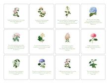 Load image into Gallery viewer, 24 Large Hydrangea Verse Cards with Easel, 5.5"
