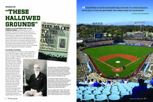 Load image into Gallery viewer, America's Ballparks
