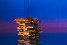 Load image into Gallery viewer, Churros! Toffee and Chocolate Covered Cookie
