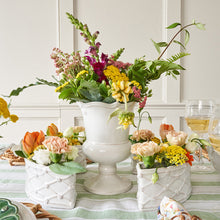 Load image into Gallery viewer, Berry &amp; Thread Petite Parterre Garden 8" Vase, Whitewash
