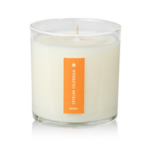 Load image into Gallery viewer, Catalan Calendula Plant The Box Candle
