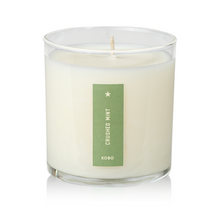 Load image into Gallery viewer, Crushed Mint Plant The Box Candle
