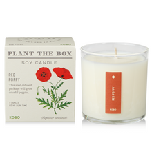 Load image into Gallery viewer, Red Poppy Plant The Box Candle
