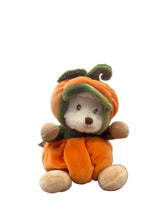 Load image into Gallery viewer, Ziggy Pumpkin

