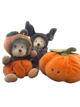 Load image into Gallery viewer, Ziggy Pumpkin
