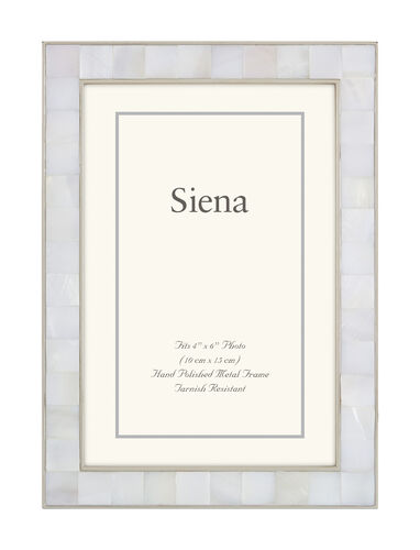 Cast Silver Silverplate Frame, Mother of Pearl