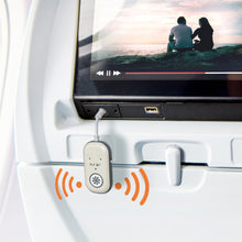 Load image into Gallery viewer, Fly Bi, Natural/Gray
