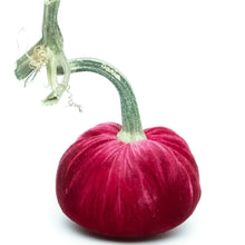 Load image into Gallery viewer, Lipstick Silk Velvet Pumpkin, 10&quot;
