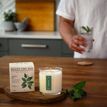 Load image into Gallery viewer, Crushed Mint Plant The Box Candle
