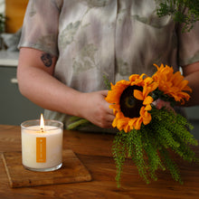 Load image into Gallery viewer, Sweet Sunflower Plant The Box Candle
