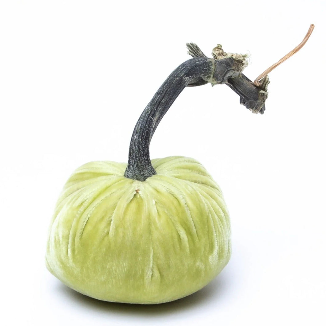 Pistachio Silk Velvet Pumpkin, 5