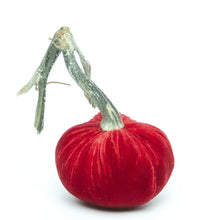 Load image into Gallery viewer, Poppy Silk Velvet Pumpkin, 8&quot;
