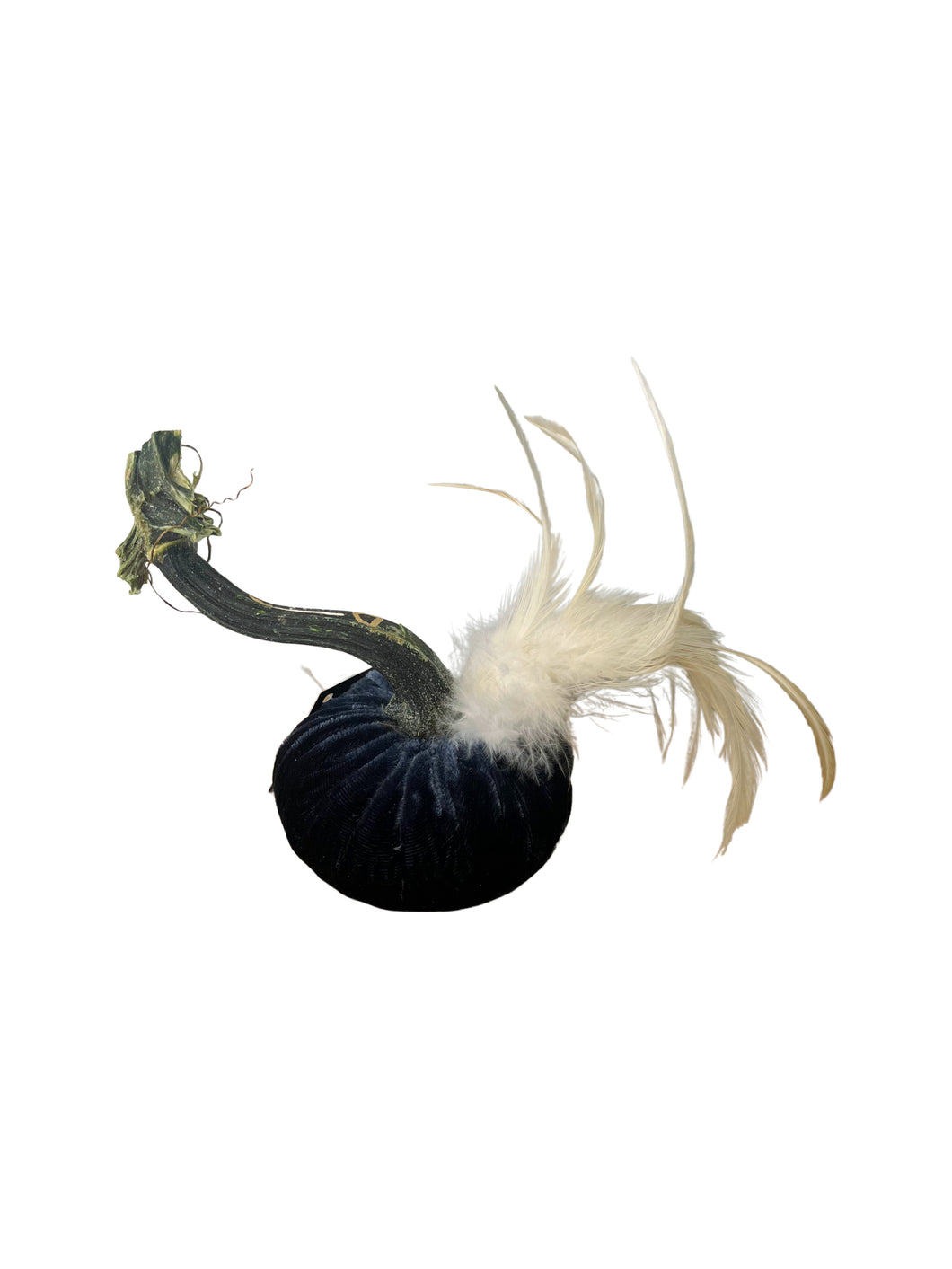 Sapphire Silk Velvet Pumpkin with Plume, 3