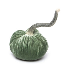Load image into Gallery viewer, Sage Silk Velvet Pumpkin, 8&quot;
