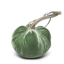 Load image into Gallery viewer, Sage Silk Velvet Pumpkin, 8&quot;
