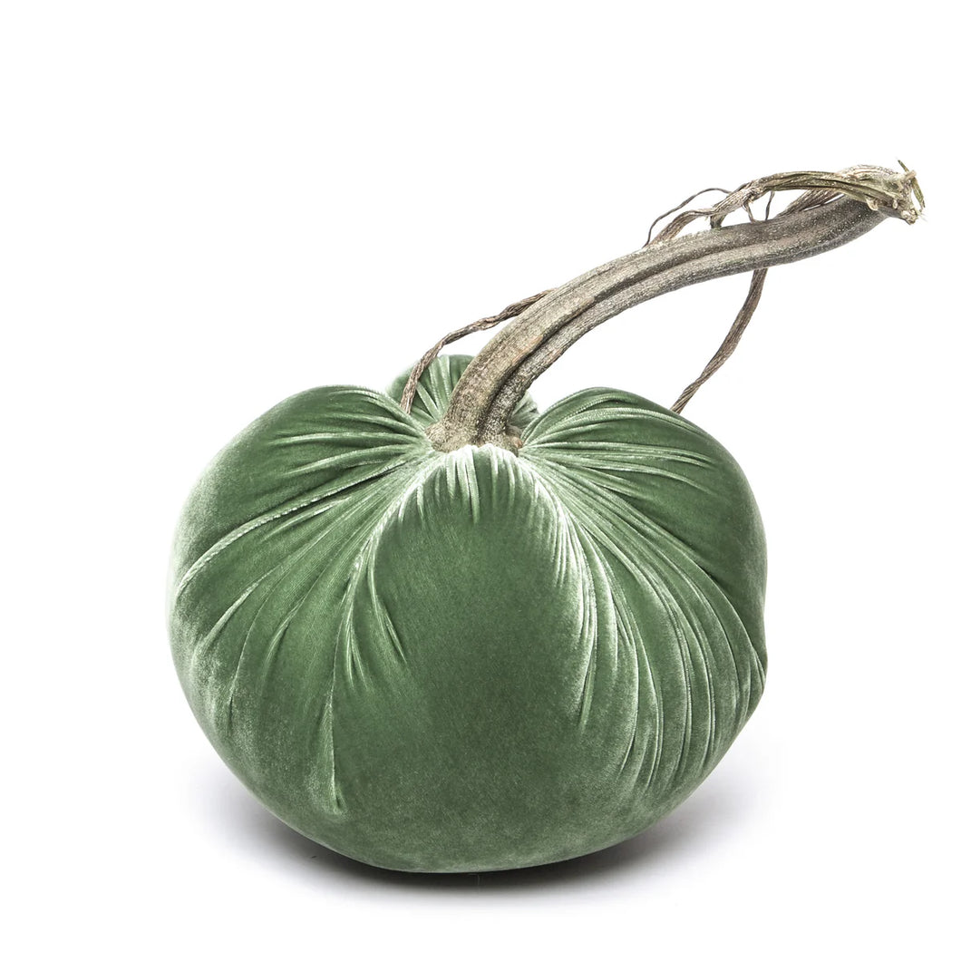 Sage Silk Velvet Pumpkin, 8