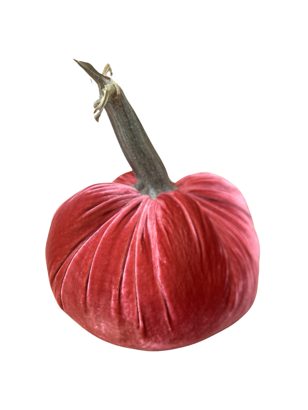 Rhubarb Silk Velvet Pumpkin, 5