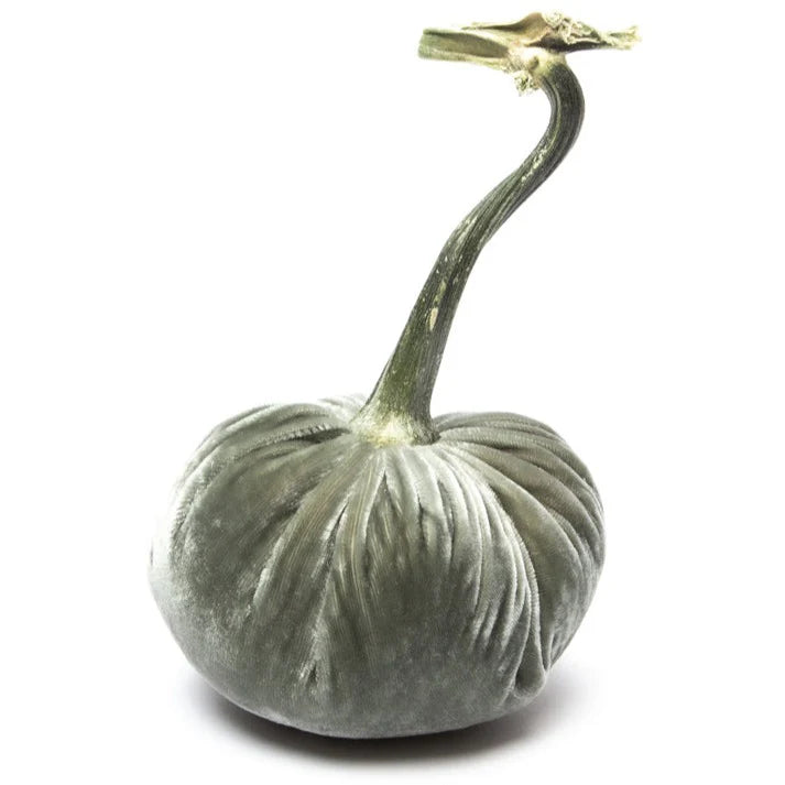 Willow Silk Velvet Pumpkin, 10