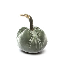 Load image into Gallery viewer, Willow Silk Velvet Pumpkin, 10&quot;
