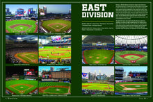 Load image into Gallery viewer, America's Ballparks

