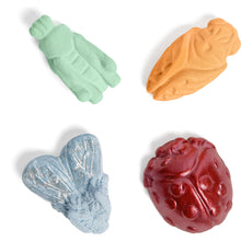 Load image into Gallery viewer, Liam&#39;s Insectarium Handmade Chalk
