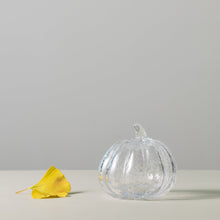 Load image into Gallery viewer, Crackle Pumpkin, S
