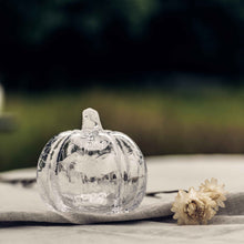 Load image into Gallery viewer, Crackle Pumpkin, S

