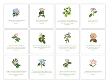 Load image into Gallery viewer, 24 Large Hydrangea Verse Cards with Easel, 5.5"
