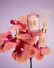 Load image into Gallery viewer, Limited Edition Radiance in Bloom Diffuser, 8.4 fl oz
