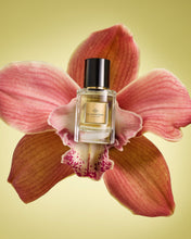 Load image into Gallery viewer, Limited Edition Tuberose Immortelle, 30mL Eau de Parfum
