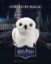 Load image into Gallery viewer, Harry Potter "Hedwig" Owl
