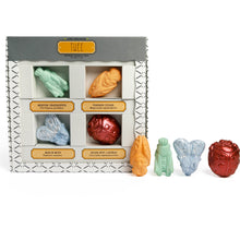 Load image into Gallery viewer, Liam&#39;s Insectarium Handmade Chalk
