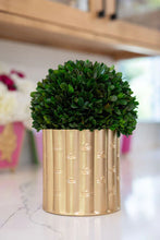 Load image into Gallery viewer, Gracie Brooklyn Round Cachepot Planter, Gold | 6&quot;
