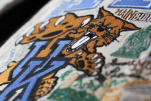 Load image into Gallery viewer, University of Kentucky Collegiate Embroidered Pillow, 16x20&quot;
