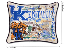Load image into Gallery viewer, University of Kentucky Collegiate Embroidered Pillow, 16x20&quot;
