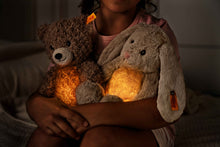 Load image into Gallery viewer, &quot;Light at Night&quot; Caspar Teddy Bear, Light Brown
