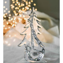 Load image into Gallery viewer, Vermont Twist Evergreen, 10&quot;
