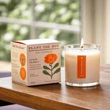 Load image into Gallery viewer, Catalan Calendula Plant The Box Candle
