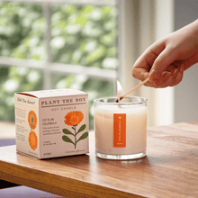 Load image into Gallery viewer, Catalan Calendula Plant The Box Candle
