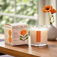 Load image into Gallery viewer, Catalan Calendula Plant The Box Candle

